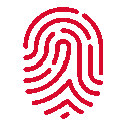 dgitaly